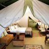Buffalo Luxury Camp 05