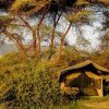 Lemala Manyara Tented Camp 02