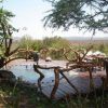 Mbalangeti Serengeti 2