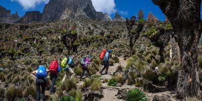 Mountain Climbing Njewa Safaris