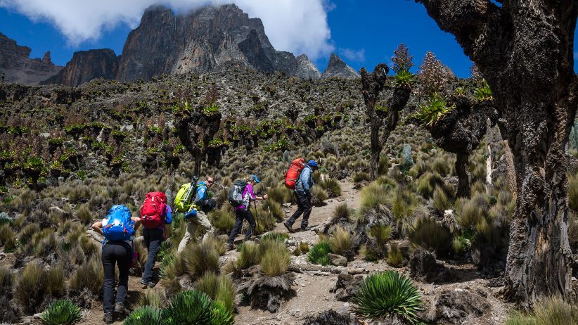 Mountain Climbing Njewa Safaris