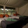 Ndutu Under Canvas Safari Camp 8