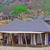 Serengeti Pioneer Camp Tent Camp View