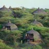 Serengeti Serenna Safari Lodge 1