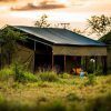 Angata Serengeti Camp 06 1