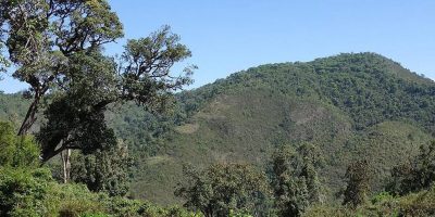 Hiking Mount Kipipiri Tour