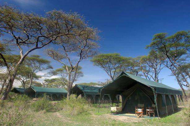 Kirurumu Ngorongoro Camp 1