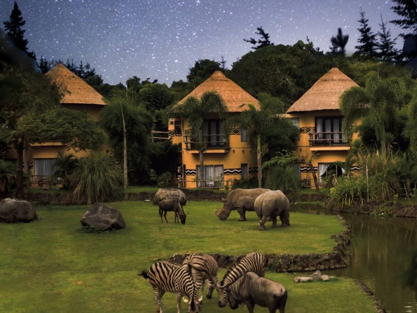 Mara River lodge