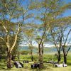 Ngorongoro Crater Lodge Unique Dining
