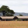 Serengeti Kati Kati 12 800