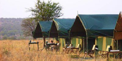 Serengeti Wildcamp 4