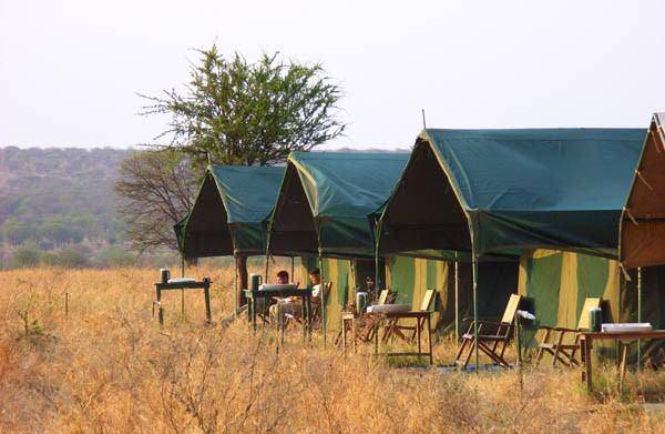 Serengeti Wildcamp 4